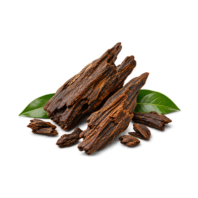 OUD