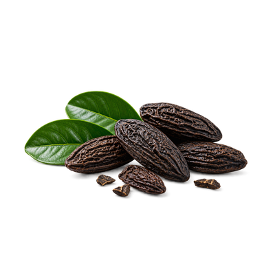 TONKA BEAN